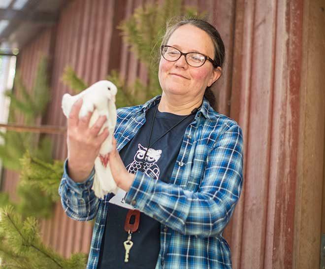 lintujenhoitaja Anita Saloranta ja riikinkukkokyyhky