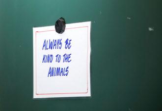 Always be nice to animals, var alltid snäll mot djuren står det på en lapp på krittavlan.