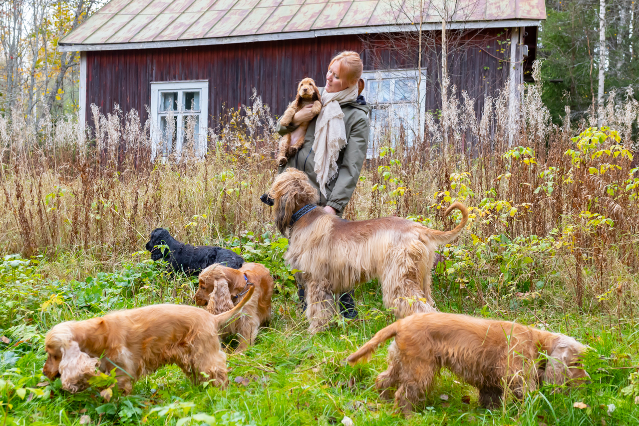 Hallinnon sihteeri Lotta Roiha leikkii koiriensa kanssa.