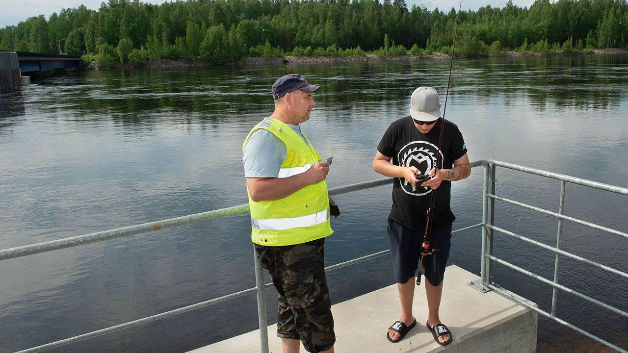 Kalastusmestari Tomi Menna tarkistaa kalastajan kalastuslupaa.