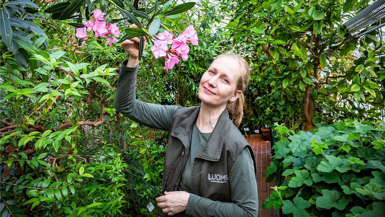 Puutarhuri Pirkitta Puustinen esittelee kukkia Kaisaniemen kasvitieteellisessä puutarhassa.