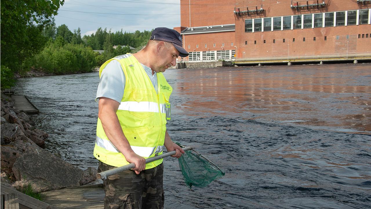 Kalastusmestari Tomi Menna laskee haavin Imatrankoskeen.