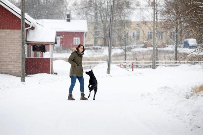 Jenni Lindström och labrador retrievern Tinka promenerar i snöfallet i Brusaby.