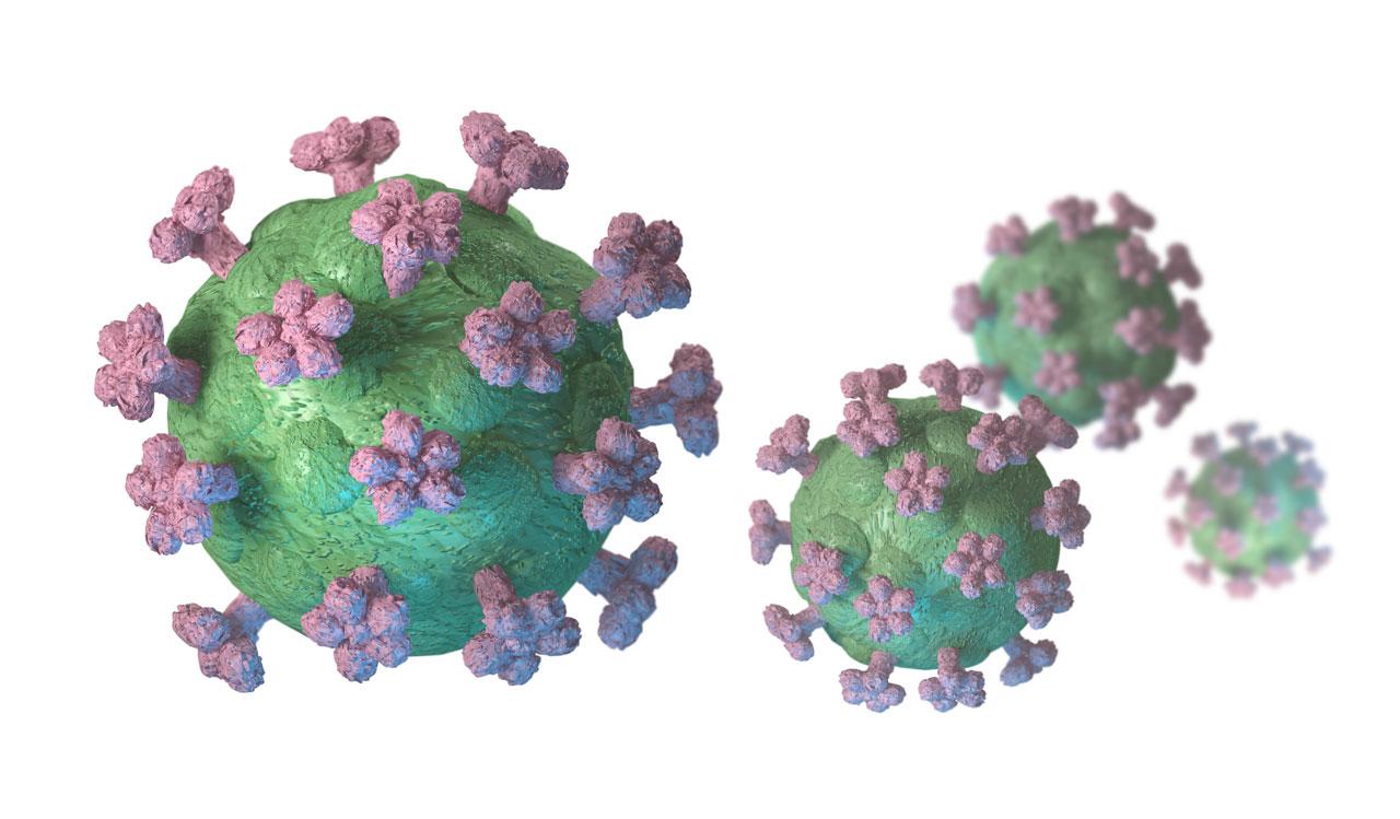 Koronavirus molekyyleja