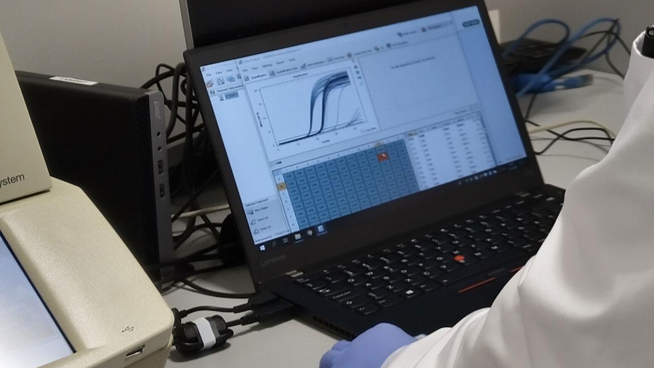 En datorskärm på Livsmedelsverket visar en exponentiell kurva som ett tecken på att det finns coronavirus i det testade provet.
